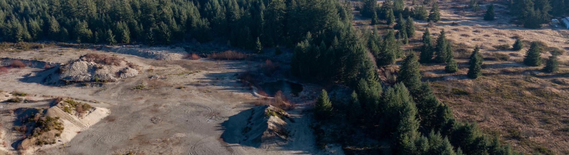 Trees surrounding a gravel mine yard.